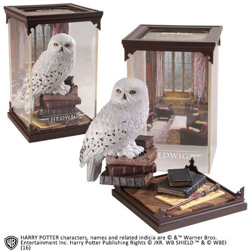 [1012054] MAGIC BOX EDVIGE NUMERO 1