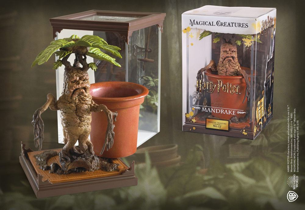 [1012062] MAGIC BOX MANDRAGOLA NUMERO 17
