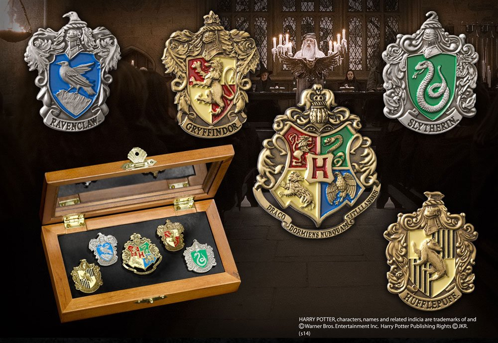 [1007155] PINS CASE